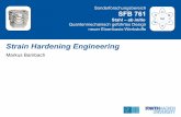Strain Hardening Engineering - stahl-abinitio.de Hardening... · Strain Hardening Engineering Markus Bambach Spezifische Energieabsorption Ein TWIP Stahl sollte z.B. einem DP Stahl