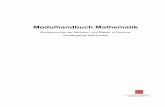 Modulhandbuch Mathematik - JGU Blogs · Modulhandbuch Mathematik – Bachelor und Master of Science Mathematik 8 Die Inhalte der Module Analysis 1 und Lineare Algebra und Geometrie