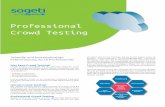 Professional Crowd Testing - · PDF fileProfessional Crowd Testing Schnelle und kostengünstige Fehlerfindung durch Professionals Was kann Crowd Testing? Crowd Testing ermöglicht
