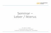 Seminar Leber / Ikterus · Fall 1: Ikterischer Patient, 28 Jahre alt Anamnese: Patient ist seit 1 Woche aus dem Urlaub zurückgekehrt. Seit 2 Tagen besteht ein Ikterus, der an den
