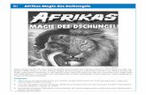 M 1 Afrikas Magie des Dschungels - kindernothilfe.de · M 1 Afrikas Magie des Dschungels Dieses Plakat wirbt für eine „märchenhafte Circusrevue mit Artisten, Tänzern und Tieren