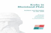 Krebs in Rheinland-Pfalz - unimedizin-mainz.de · PDF fileKrebs in Rheinland-Pfalz Inzidenz und Mortalität im Jahr 2000 Bericht des Krebsregisters Rheinland-Pfalz mit Schwerpunkt-auswertungen