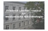 Friedrich Loeffler Institut für Medizinische Mikrobiologie · Prokaryoten (v. a. Bakterien) als wir menschliche Zellen besitzen!!! Title Microsoft PowerPoint - 1 und 2_Einführung