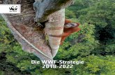 Die WWF-Strategie 2018-2022 · DER BEFUND Klimawandel, Artensterben, Abholzung der letzten großen Wälder, überfischte Meere, verschmutzte Flüsse, verpestete Luft, ausgelaugte