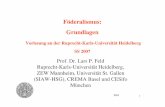 Föderalismus: Grundlagen - awi.uni-heidelberg.de · 1 Föderalismus: Grundlagen Vorlesung an der Ruprecht-Karls-Universität Heidelberg SS 2007 Prof. Dr. Lars P. Feld Ruprecht-Karls-Universität