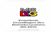 Erweiterte Grundlagen des Betriebssystems MS-DOS DOS Erweiterungen.pdf · Erweiterte Grundlagen des Betriebssystems MS-DOS Skript und Materialien zum Unterricht