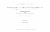 Wirkprinzipien von Histondeacetylaseinhibitoren in ...rosdok.uni-rostock.de/file/rosdok_derivate_000000004588/Dissertation_Buelow_2011.pdf · Aus der Klinik und Poliklinik für Innere
