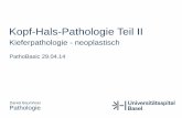 Kopf-Hals-Pathologie Teil II · – 80% Mandibula, v.a. Molarenregion / Kieferwinkel – oft asymptomatisch, Zufallsbefund, z.T. retinierter Zahn – gutartig, lokal aggressiv . Ameloblastom