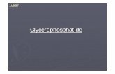 Kapitel 5) Lipide [Kompatibilitätsmodus]biochemietrainingscamp.de/stoff/li/glycerphosphatide.pdf · Cholin ist ein Aminoalkohol und ein quartäres Ammoniumsalz mit der chemischen