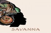 SCHÖN - savanna-restaurant.com · Nr.57 Zilzil Tibsi 14,90 € Gebraten Rindfleischstreifen mit Zwiebeln und Peperoni Nr.58 Kitfo 14,90 € Tartar nach äthiopischer Art.