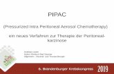 PIPAC - mcall-gmbh.de · Index)-Punkte reduziert werden. Das klinische Tumoransprechen geht mit einer Verbesserung bzw. Stabilisierung der Lebensqualität einher. H. Leebmann · P.