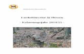 Luchshinweise in Hessen - Erfassungsjahr 2014/15 · 4 1 Zusammenfassung Der ARBEITSKREIS HESSENLUCHS 1 trägt Hinweise zum Vorkommen des Luchses (Lynx lynx L., 1758) in Hessen zusammen.