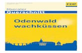 Odenwald wachküssen · Der Ruf führender Politiker unseres Odenwaldkreises nach einer klein-räumigen Energie-Selbstständigkeit hat dazu geführt, dass nun vermehrt
