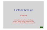 Diagnose: fibrinös-eitrige Meningo(enzephalo)myelitis · Histopathologie Fall 53 als Vorbereitung für die Prüfung ersetzt das Ansehen der PP-Folien in keinem Falle das Mikroskopieren