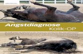 Angstdiagnose Kolik-OP · Risiko einer erneuten Kolik post-operativ genauso hoch wie vor dem chirurgischen Eingriff , räumt Dr. Rasch eine weitere Befürchtung vieler Pferdebesitzer