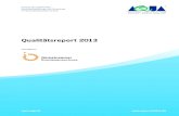 Qualitätsreport 2013 - sqg.de · 3 2014 AQUA-Institut GmbH Qualitätsreport 2013 Nicht zuletzt aufgrund der demographischen Entwicklung, die die medizinische Versorgung vor immer