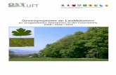 Ozonsymptome an Laubbäumen - ostluft.ch · Ozonsymptome an Laubbäumen an ausgewählten Standorten in der Ostschweiz 2008 / 2009 / 2011 Seite 2 2. Einführung 2.1 Aufgabenstellung