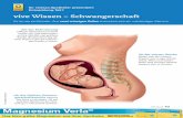 vive Wissen – Schwangerschaft - pk-pharmakommunikation.deWissen+Schwangerschaft.pdf · mium, das die Eizelle befruchtet, ein x-chromosom, hat der Embryo zwei x-chromosomen und entwickelt