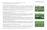 Saatgutmischungen für das Grünland und den Feldfutterbau ... Austria Futtermischungen.pdf · Damit wird gewährleistet, dass die Zusammensetzung und Bezeichnung der Saat-gutmischung