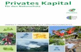 Privates Kapital - regenwald-schuetzen.org · rungsinstrument, das privates Kapital für Projekte oder Organisationen bündelt, die eine positive soziale oder ökologische Wirkung