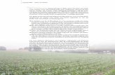 Die zunehmendeBeanspruchung von Böden durch Wirtschaft und ... 5.pdf · Die zunehmendeBeanspruchung von Böden durch Wirtschaft und Gesell-schaft erfordert unter dem Gesichtspunkt