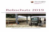Rebschutz 2019 - pflanzenschutz.rlp.de · Der einzige bisher bekannte Vektor der FD ist Scaphoideus titanus. Im Gegensatz zum Überträ- ger der Schwarzholzkrankheit, der Winden-Glasflügelzikade,