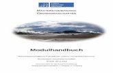 Modulhandbuch Master Geowissenschaften 2018 von KK JK-2 · 6 8 Organisationseinheit Naturwissenschaftliche Fakultät, Institut für Geologie 9 Modulverantwortliche/r Prof. Dr. A.