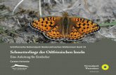 Schriftenreihe Nationalpark Niedersächsisches Wattenmeer ... · grundlegend mit der Anatomie von Schmetterlingen auskennen. Dabei geht es Dabei geht es vor allem um die Flügel,