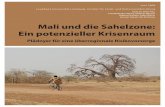 Mali und die Sahelzone: Ein potenzieller Krisenraummali-mali.de/Risikovorsorge.pdf · Inhaltsverzeichnis Executive Summary 1 1. Mali – die Exkursion und ihre Begleitveranstaltungen