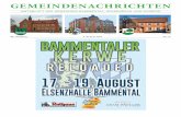 GN KW31 2019 - wiesenbach-online.de · gemeindenachrichten amtsblatt der gemeinden bammental, wiesenbach und gaiberg w iesenbach b ammental g aiberg 58. jahrgang 2. august 2019 nr