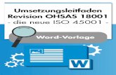 Umsetzungsleitfaden Revision OHSAS 18001 · Übersicht Delta-Matrix mit allen Änderungen und Neuerungen der OHSAS 18001 gegenüber der ISO 45001 Überblick über die strukturellen