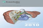 INSTITUTE FOR MEDICAL IMAGE COMPUTING - … · 5 Fraunhofer MEVIS blickt auf ein gleichermaßen ereignisreiches wie erfolgreiches Jahr 2010 zurück. Das abgelaufene Jahr, das zweite