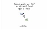 Datentransfer von SAP zu Microsoft Excel - schels.de · Geben Sie ein: /nxxxx (xxxx = Transaktionscode). Anschliessend kann mit Leerzeichen getrennt ein beliebiger Text eingegeben