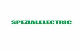SPEZIALELECTRIC · consideration of the state of safeguarding technic in the countries of destination. These are ruled by different safeguarding These are ruled by different safeguarding