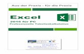 Excel - computerschuledachsen.ch · Aus der Praxis - für die Praxis Excel 2016 für PC Professionelle Tabellenkalkulation