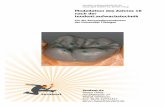 Modellation des Zahnes 16 nach der tendent.aufwachstechnik · Fischmaulkontakte; okklusaler Kompass; Laterotrusion, Mediotrusion, Lateroprotrusion, Protrusion; Retrusion, Immediate