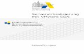 Servervirtualisierung mit VMware ESXischulnetz.alp.dillingen.de/materialien/VMware_ESXi.pdf · VMware ESXi‐Server Seite 5 Akademie Dillingen – SCHULNETZ Beschaffung von VMware