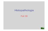 Fall 39 - patho.vetmed.uni-muenchen.de · Ätiologie / Pathogenese (1): - massiver Anfall von Hämoglobin (v.a. intravasale Hämolyse), oder Myoglobin (Myolyse) im Blut und damit