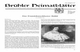 G Brübter Delrnatbfur - heimatbundbruehl.deheimatbundbruehl.de/Heimatblaetter/HB_Hefte/BH1989_4.pdf · Der Kölner Erzbischof Hermann fV., Landgraf zu Hessen (1480- 1508) war von