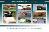 Priplodna goveda iz AUSTRIJE - zar.at6d8bce4b-ce4e-4205-8d97-b3e4adf4cb87/Serbisch... · 4 5 FLECKVIEH AUSTRIA BRAUNVIEH AUSTRIA HOLSTEINAUSTRIA Austrijske rase goveda pozitivno deluje