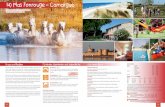 14) Mas Fonrouge – Camargue - reiseloungehellmann.de · 40 41 Haus und Region Für Kinder, Kleinkinder und Jugendliche Rosarote Flamingos, schwarze Stiere, weiße Wildpferde, gewaltige