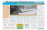 Schlosser Sossenheim HP 20190110 001 · PDF filedas allwissende Internet: Die einen setzen auf Kohl-suppe, andere auf Ananas, wieder andere auf Zitronen-saft oder Honigwasser und die