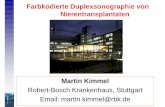 Robert-Bosch Krankenhaus, Stuttgart Email: martin.kimmel@rbk · Übersicht • Strukturauffälligkeiten im B-Bild (Schwellung, intra- /peri-renale Flüssigkeit, Aufstau) • vaskuläre