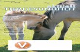 Pferd 01 2011 A4 - Tierarzt für Pferde Dr. Hubertus Nebe 1-2011.pdf · Behandlung von Sommerekzem und Mauke sowie ein Shampoo verfügbar. Weitere Einsatzgebiete wären denkbar. Foto: