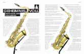 GEHEIMNIS VOLL - klarinettenmueller.de Clarino.pdf · Bogen, VintageStilLackierung, Perl muttinlagen, L.E PisoniProPolster, handgravierter Schallbecher, Knie und Korpus. Optionen: