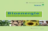 Bioenergie - beschaffung.fnr.de · 5 Liebe Leserinnen und Leser, Bioenergie boomt: Nicht nur Landwirte und private Unternehmen, auch immer mehr Kommunen nutzen Biomasse zur Strom-