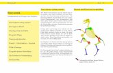 Biodynamik - Rangauhof – Sattelschule · Biodynamik Seite - 03 - Gleichgewicht der Kräfte in einem statisch/kinetischen System Die “Obere Verspannung” besteht aus Rückenband