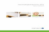 Nachhaltigkeitsbericht 2015 - papyrus-deutschland.de · Papyrus Nachhaltigkeitsbericht 2015 1 Nachhaltigkeit als integraler Bestandteil unseres Geschäfts „Wir werden weiterhin