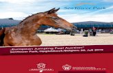 „European Jumping Foal Auction“ - westfalenpferde.de · Ihre Ansprechpartner / Your contact person 2 Für die individuelle Auswahl Ihres zukünftigen Pfer-des setzen wir unser