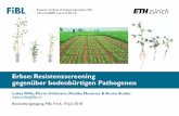Erbse: Resistenzscreening gegenüber bodenbürtigen Pathogenenorgprints.org/33638/2/2 Wille Erbse Screening.pdf · Research Institute of Organic Agriculture FiBL info.suisse@fibl.org,